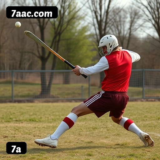 Comparação APP mobile vs versão web da 7a